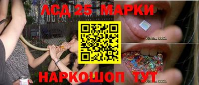 мяу мяу мука Будённовск