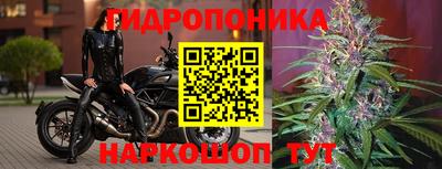 мяу мяу мука Будённовск