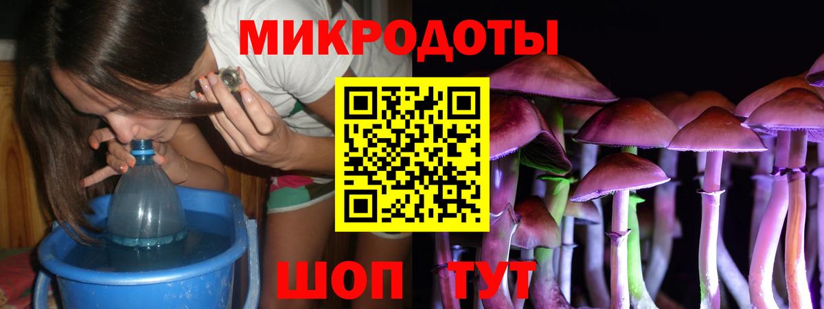 Галлюциногенные грибы Psilocybe Ухта